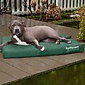 FurHaven Deluxe Oxford Memory Foam Indoor/Outdoor Dog & Cat Bed with Removable Cover, Large, forest