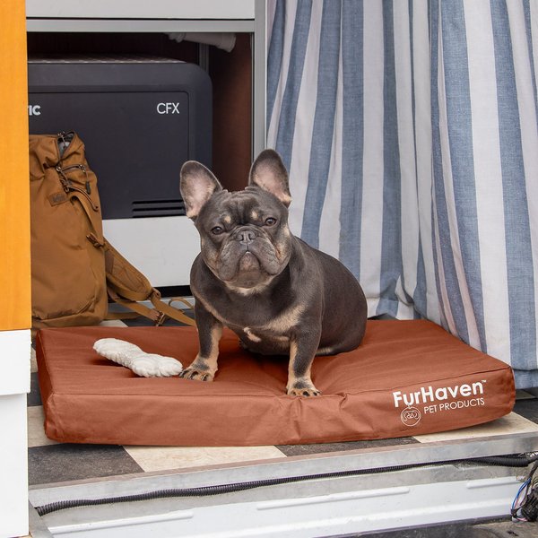 FurHaven Deluxe Oxford Cooling Gel Indoor/Outdoor Dog & Cat Bed w/ Removable Cover, Medium, Chestnut slide 1 of 9