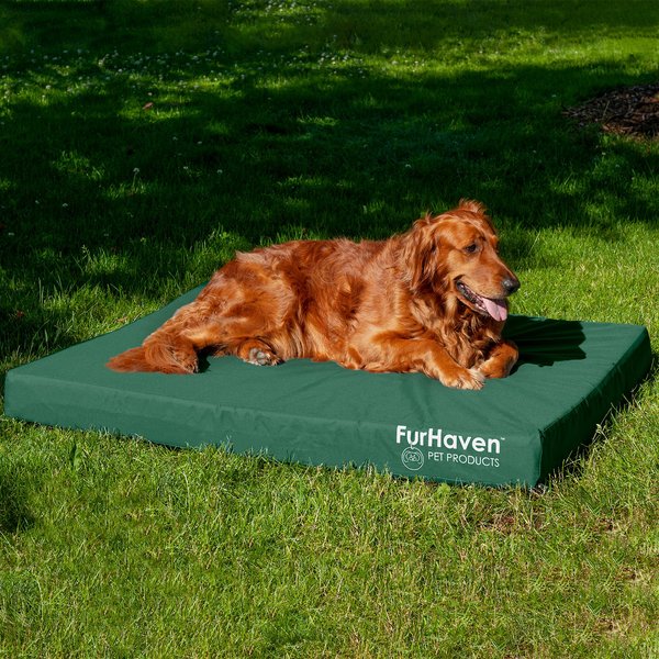 FurHaven Deluxe Oxford Cooling Gel Indoor/Outdoor Dog & Cat Bed with Removable Cover, Jumbo, forest slide 1 of 9