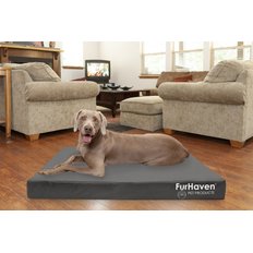 Vinyl Covered Dog Beds (Free Shipping) | Chewy