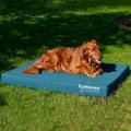 FurHaven Deluxe Oxford Cooling Gel Indoor/Outdoor Dog & Cat Bed with Removable Cover, Jumbo, Deep Lagoon