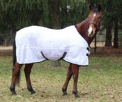TuffRider Comfy Mesh Horse Fly Sheet, White, 48-in