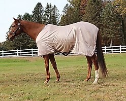 TuffRider Comfy Mesh Horse Fly Sheet, Adobe Rose, 72-in slide 1 of 2