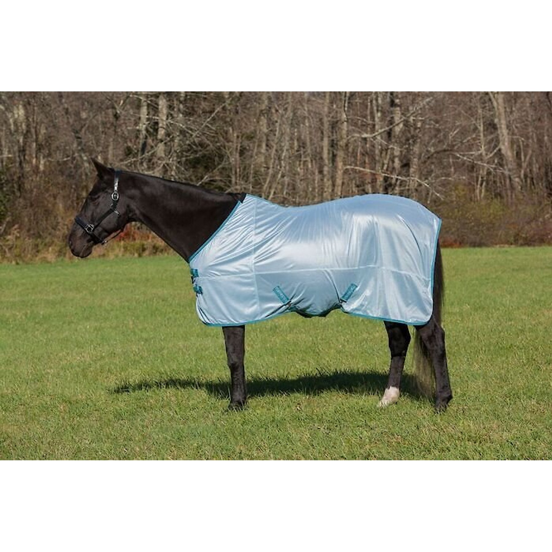 TuffRider Comfy Mesh Standard Neck Horse Fly Sheet, Porcelain Blue/Teal, 72-in