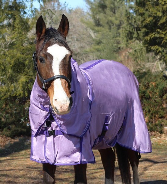 TuffRider Power Mesh Detachable Neck Horse Fly Sheet, Orchid/Violet, 78-in slide 1 of 2
