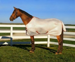TuffRider Sport Mesh Horse Fly Sheet, Frosted Almond, 78-in