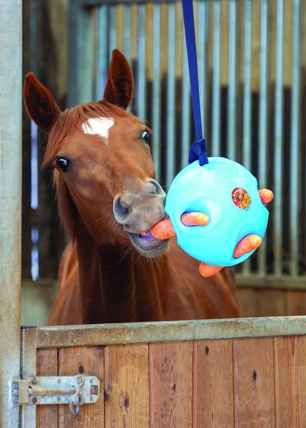 Shires Equestrian Products Carrot Ball Horse Toy, Blue slide 1 of 1
