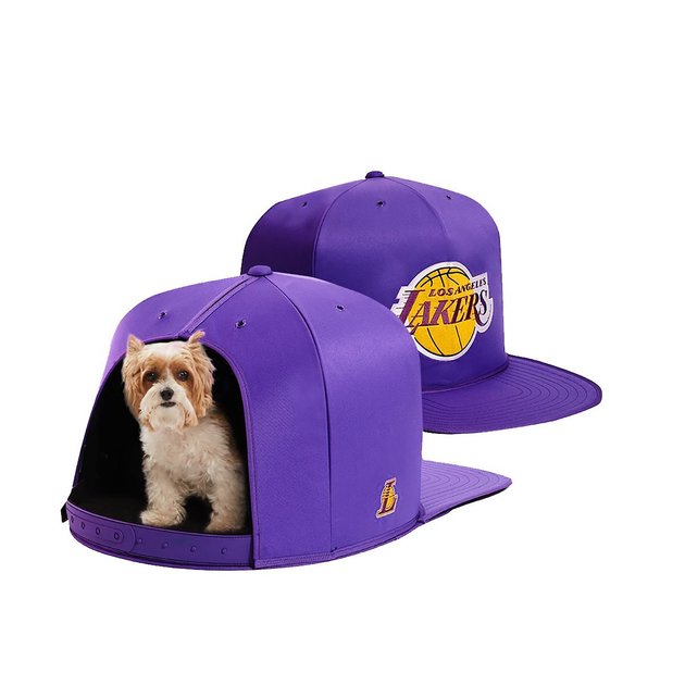 nba hat dog bed