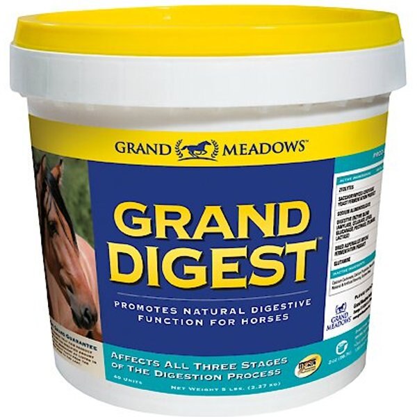 FREEDOM HEALTH Succeed DCP Natural Oat Flavor Granules Horse Supplement