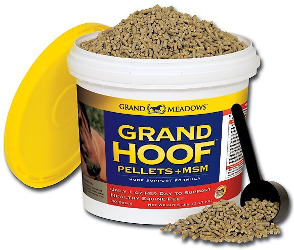 Grand Meadows Grand Hoof Pellets + MSM Hoof Support Formula Horse Supplement, 5-lb tub slide 1 of 2