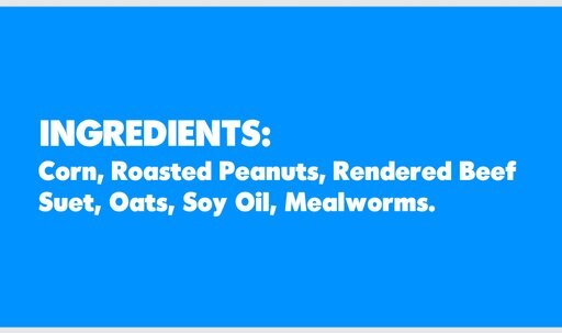 C&S Mealworm Delight No Melt Suet Dough Wild Bird Food, 11.75-oz tray, 12 count