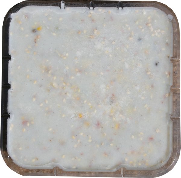 C&S Woodpecker Treat Suet Wild Bird Food, case of 12 - Chewy.com