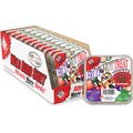 C&S Fruit n' Nut Treat Suet Wild Bird Food, case of 12