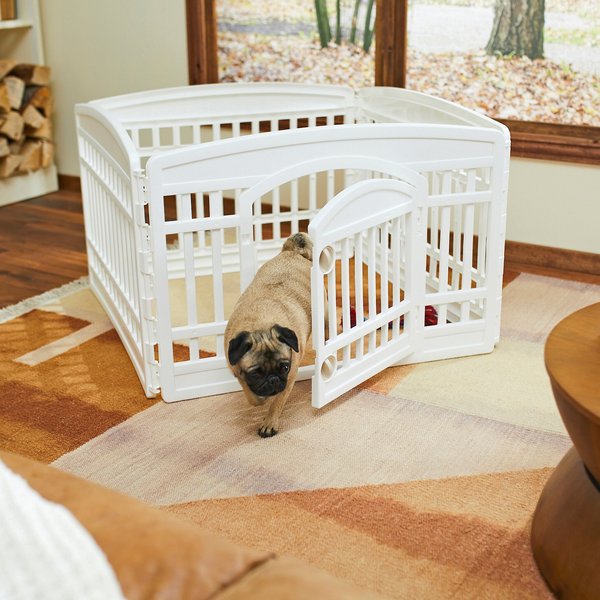 Frisco 4-Panel Dog Exercise Playpen with Door, 24-in, White slide 1 of 8