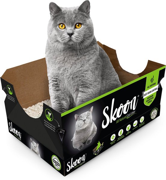 Skoon Unscented Non-Clumping Cat Litter & Disposable Litter Box, 4-lb box slide 1 of 6