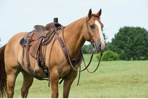 Weaver Leather Working Tack Pulling Horse Breast Collar