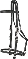 Weaver Leather Brahma Webb Horse Halter Bridle