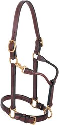Weaver Equine Track Horse Halter, Mahogany, 1-in Cob