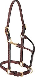 Weaver Leather Double Buckle Crown Horse Halter, Average