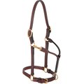 Weaver Leather Double Buckle Crown Horse Halter, Average