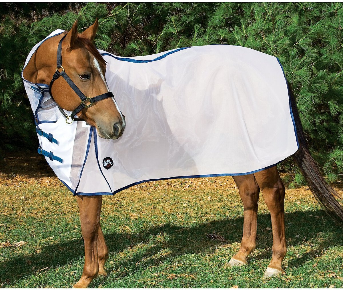 Weaver Equine Mesh Horse Fly Sheet