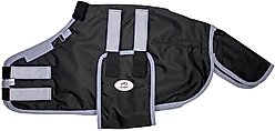 Derby Originals 600D Reflective Waterproof Winter Foal & Mini Horse Turnout Blanket, Black, Large, 42-48 in