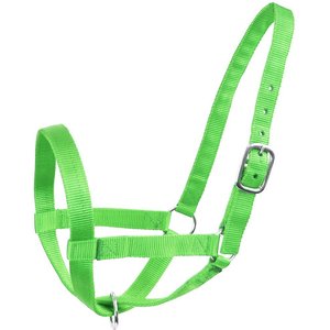 Derby Originals Barn & Turnout Nylon Cattle Halter, Lime Green, Small