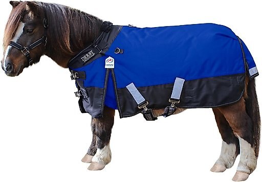 Derby Originals Classic Nordic-Tough 600D Ripstop Waterproof Winter Mediumweight Mini Horse & Pony Turnout Blanket, Royal Blue with Black Trim, 54-in