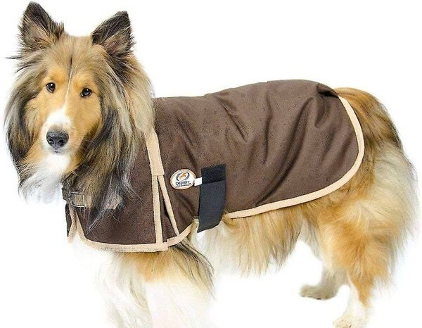 chewy dog jacket