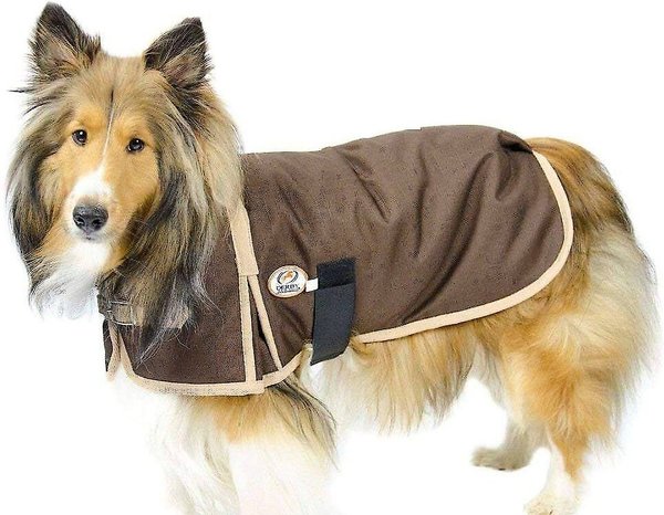 Derby Originals Horse Tough 1200D Waterproof Winter Dog Coat, Chocolate w/ Tan Trim, 26.5-in slide 1 of 3