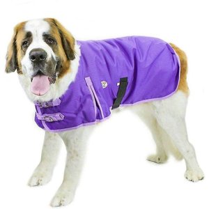 Derby Originals Horse Tough 1200D Waterproof Winter Dog Coat, Purple w/ Lavender Trim, 22-in