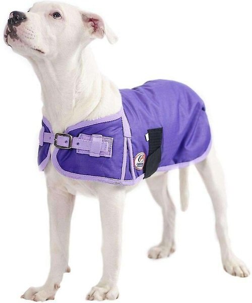Derby Originals Horse Tough 600D Waterproof Ripstop Dog Coat, Purple w/ Lavender, Medium slide 1 of 3