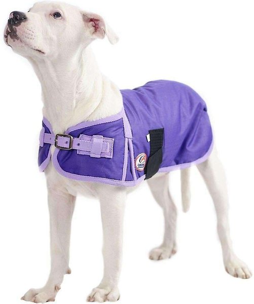 Derby Originals Horse Tough 600D Waterproof Ripstop Dog Coat, Purple with Lavender, Large slide 1 of 3