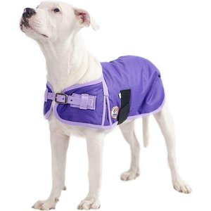 Derby Originals Horse Tough 600D Waterproof Ripstop Dog Coat, Purple w/ Lavender, Large