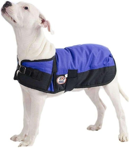 Derby Originals Horse-Tough 600D Ripstop Exterior Mediumweight Waterproof Dog Coat, Royal Blue with Black, Large slide 1 of 2