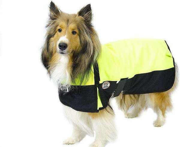 Derby Originals Horse-Tough 600D Ripstop Exterior Mediumweight Waterproof Dog Coat, Lime Green w/ Black, 22-in Large slide 1 of 2