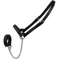 Derby Originals Premium Crystal Bling Rhinestone Inlay Flat Leather Cattle Show Halter & Chain Lead, Black, Small