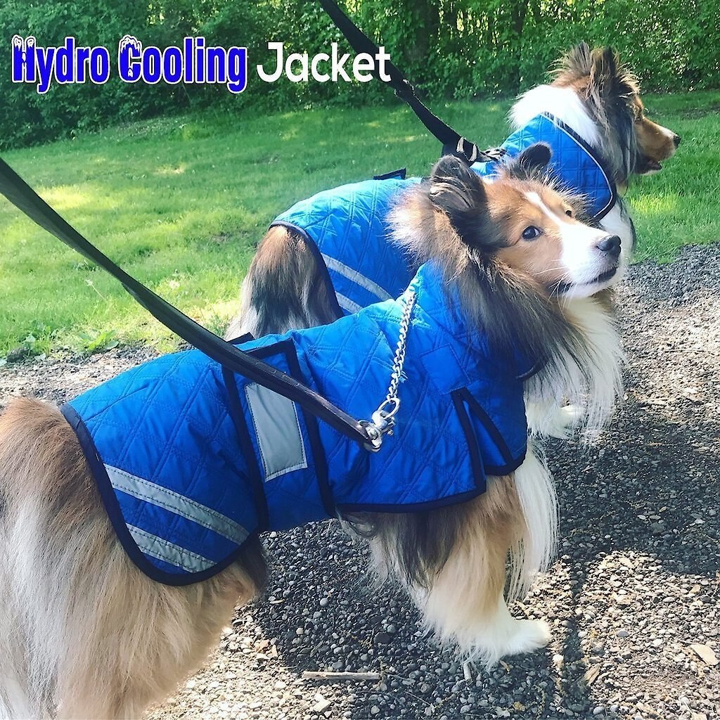 Derby Originals Hydro Cooling Dog Vest