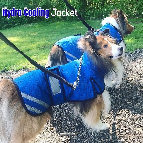 Derby Originals Hydro Cooling Dog Jacket, Blue