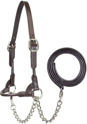 Derby Originals Premium Round Rolled Leather Cattle Show Halter & Chain Lead, Havana, Medium (Heifer)
