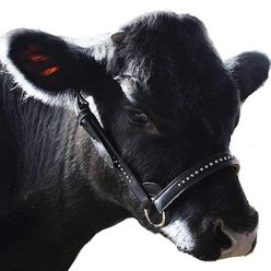 Derby Originals Premium Show Spotted Flat Leather Cattle Show Halter & Chain Lead, Black, Small slide 2 of 3