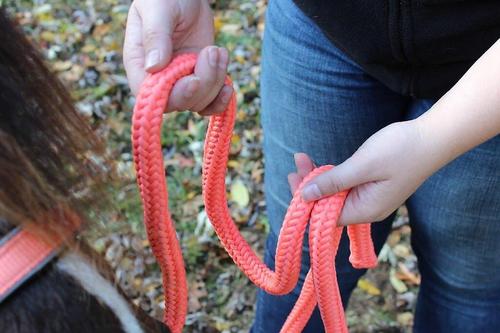 Show full view: Derby Originals Super Soft Deluxe Braided Horse & Livestock Poly Lead Rope, Midnight Black, 10-ft slide 3 of 3