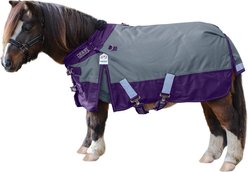 Derby Originals Windstorm 1200D Waterproof Ripstop Heavyweight Mini Horse & Pony Winter Turnout Blanket, Charcoal with Purple Trim, 58-in