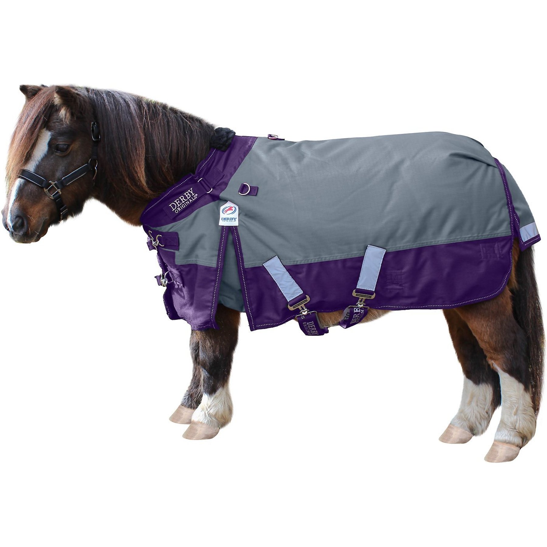 Derby Originals Windstorm 1200D Waterproof Ripstop Heavyweight Mini Horse & Pony Winter Turnout Blanket, Charcoal with Purple Trim, 62-in