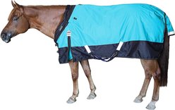 Derby Originals Windstorm Nordic-Tough 1200D Ripstop Waterproof Winter Heavyweight Horse Turnout Blanket, Electric Blue with Black Trim, 84-in
