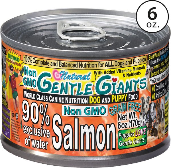 Gentle Giants Natural Non-GMO Puppy Grain-Free Salmon Wet Dog Food, 6-oz can, case of 24 slide 1 of 4