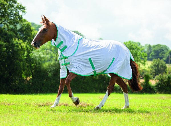 Shires Equestrian Products Tempest Original Horse Fly Sheet, White, 78-in slide 1 of 1