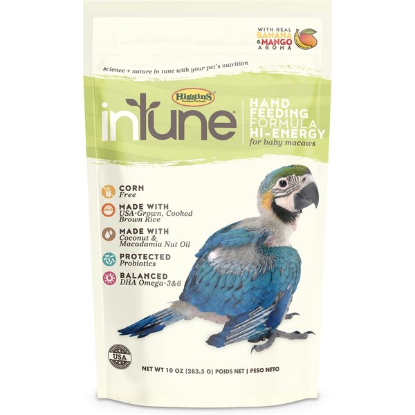 intune hand feeding formula