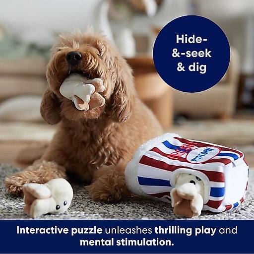 Frisco Zoomies & Chill Popcorn Hide & Seek Puzzle Plush Squeaky Dog Toy, Small