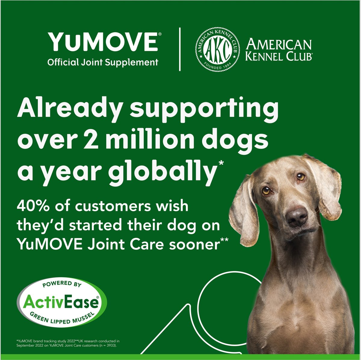 Yumove chewies 2024 medium dog